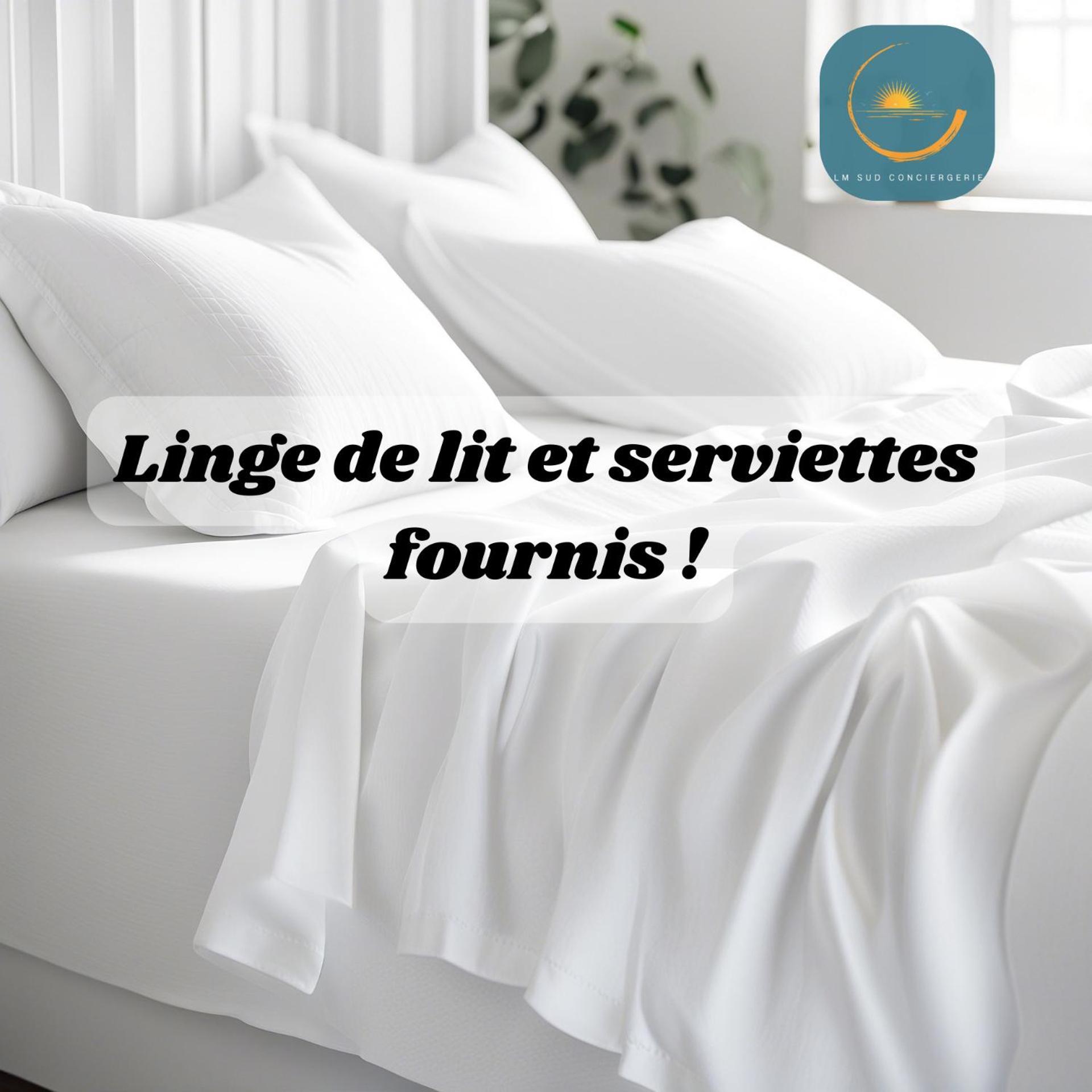 Comedie Hyper-centre Apartment *