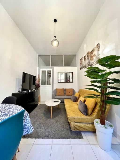 Magnifique T3 Au Centre - Immeuble Particulier Appartement *