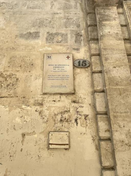 Ecusson - Duplex Lumineux Et Climatise Dans Particulier * Montpellier