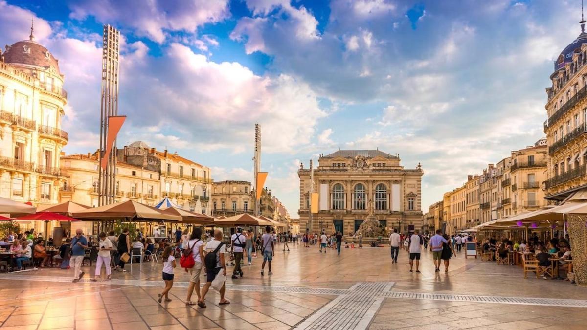 Balcon Montpellierain Proche Fac Et Hopitaux Montpellier