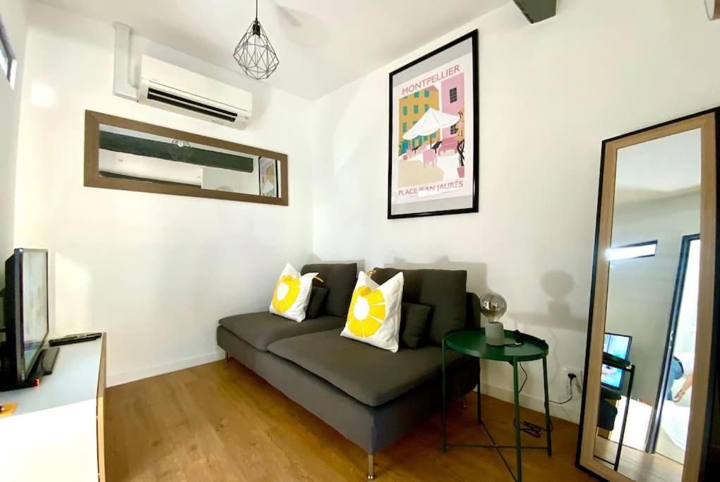 Groomi Le Cosy - Centre Ville, Climatise Avec ! * Montpellier