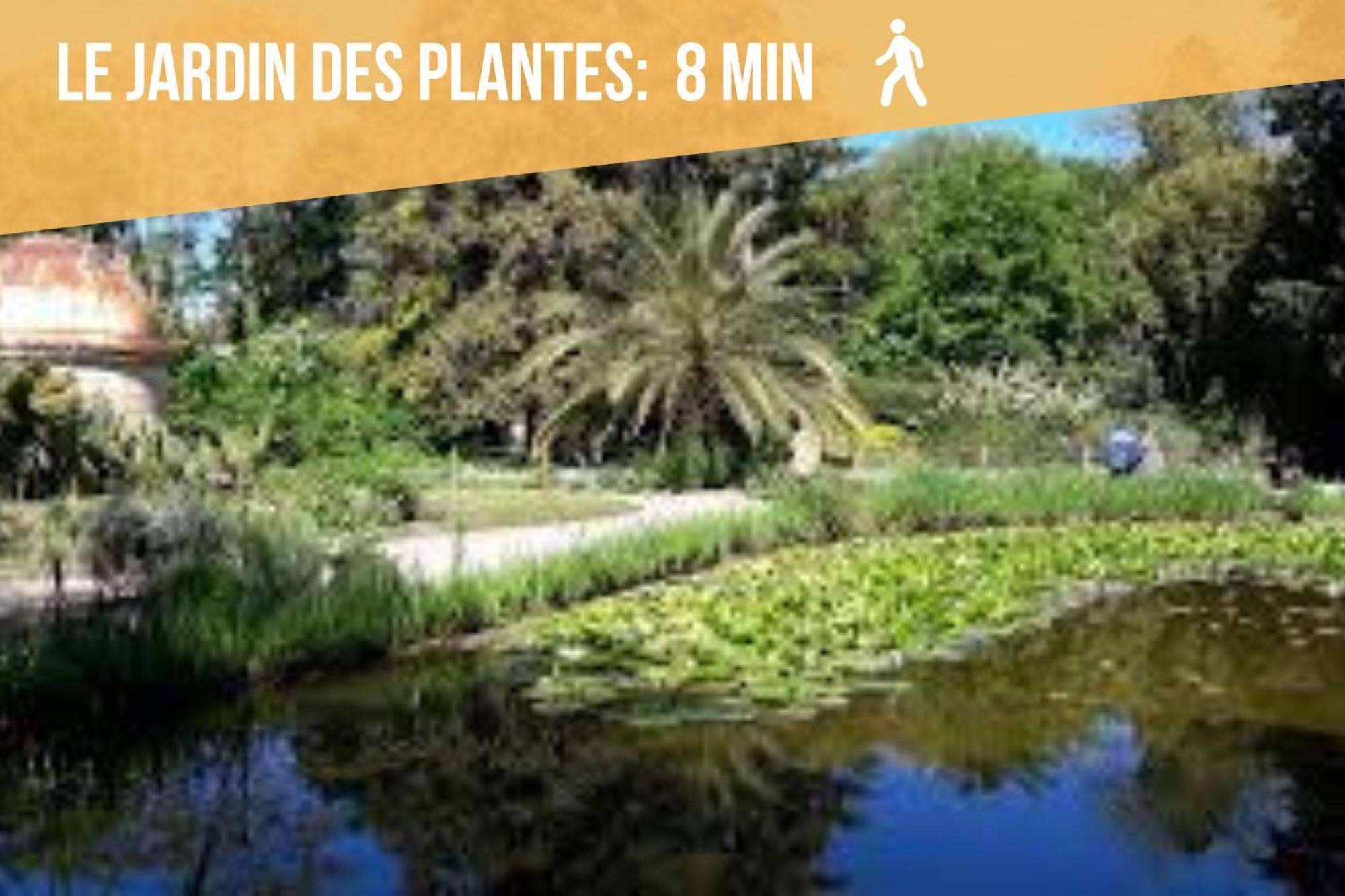 Youmi - Calme Avec Jacuzzi Et Clim A 5min De La Comedie, Tram A 200m Apartment Montpellier