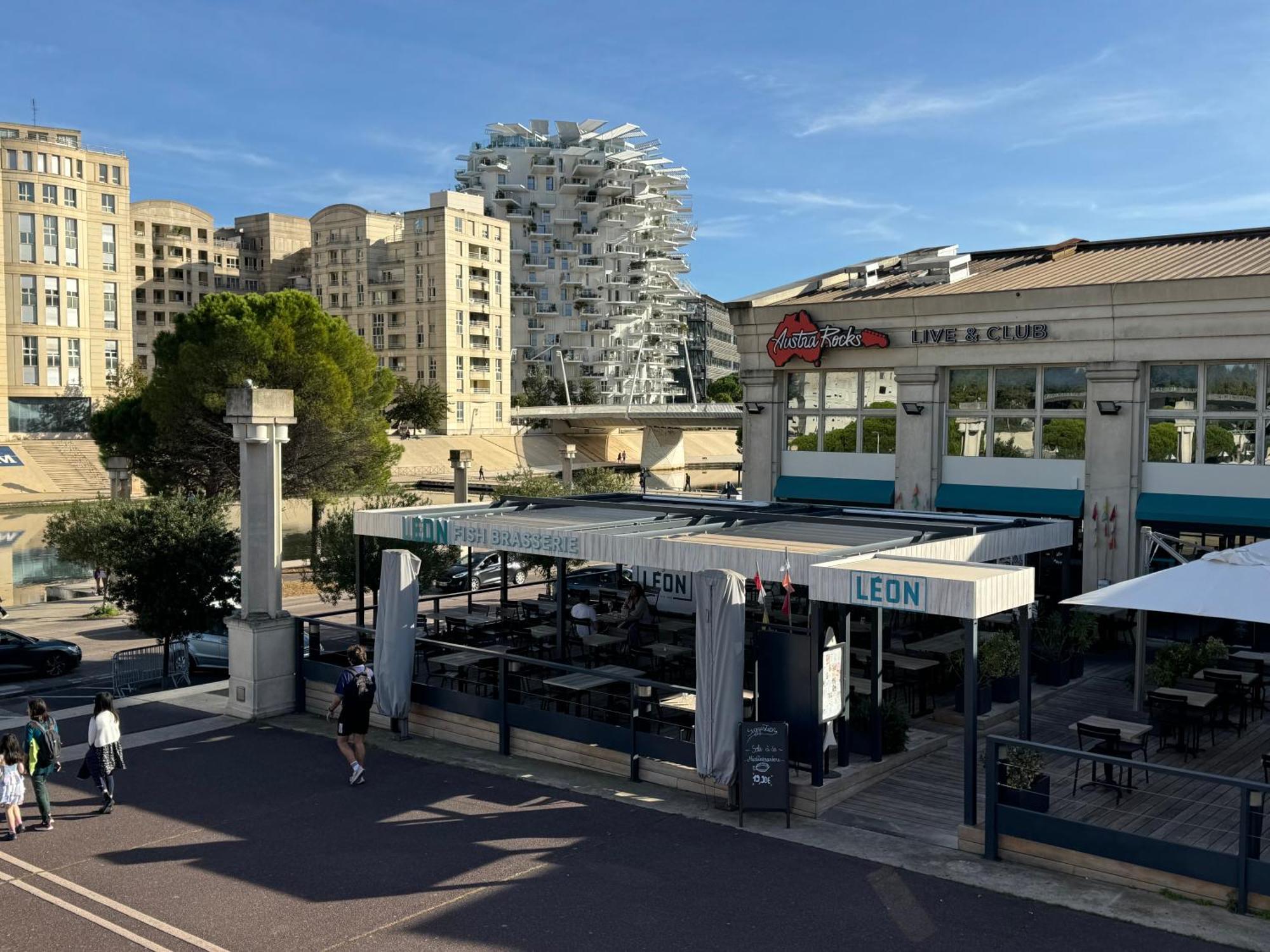 Vintage Port Marianne Montpellier