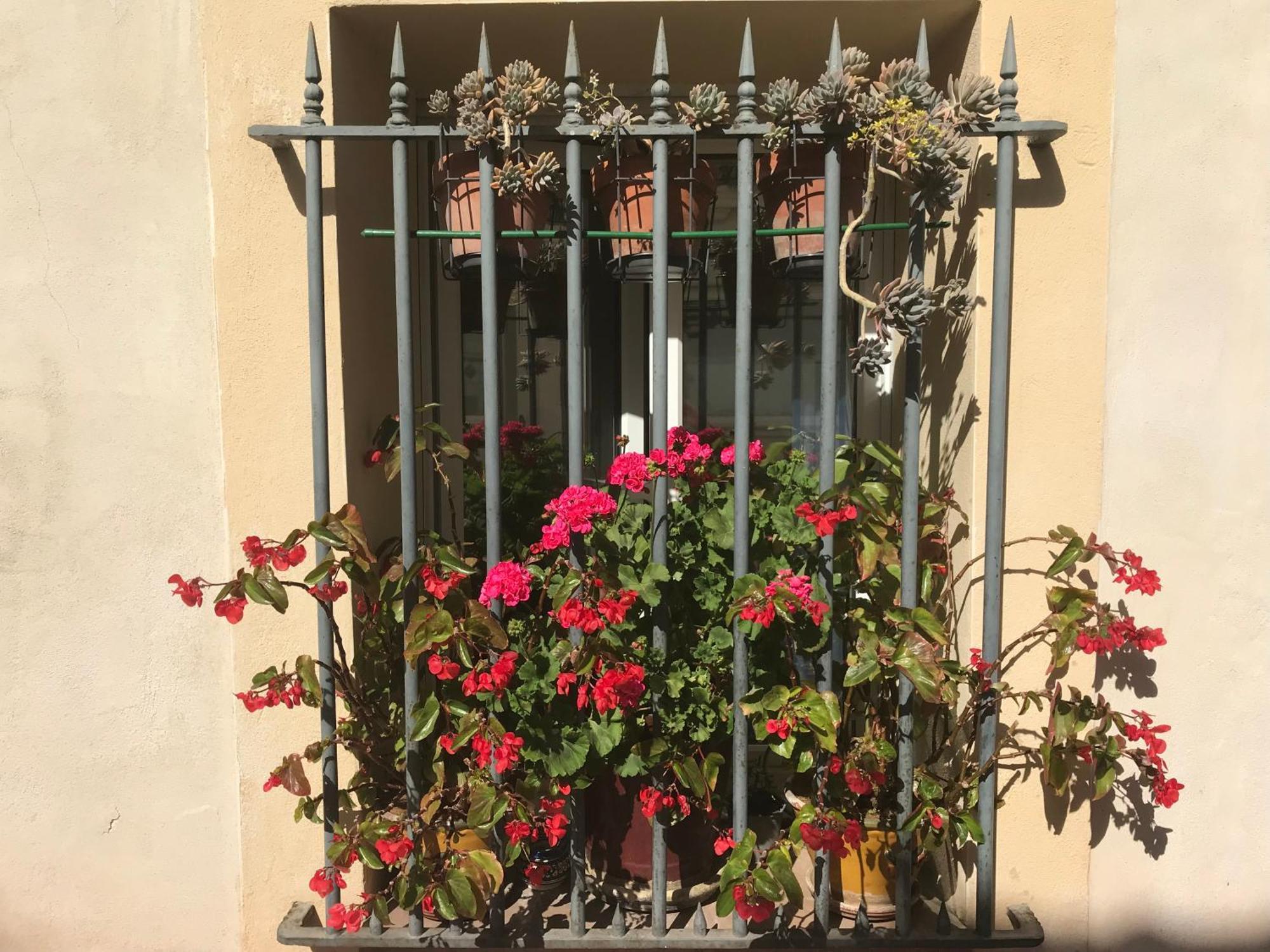 Simone's Bed & Breakfast Montpellier