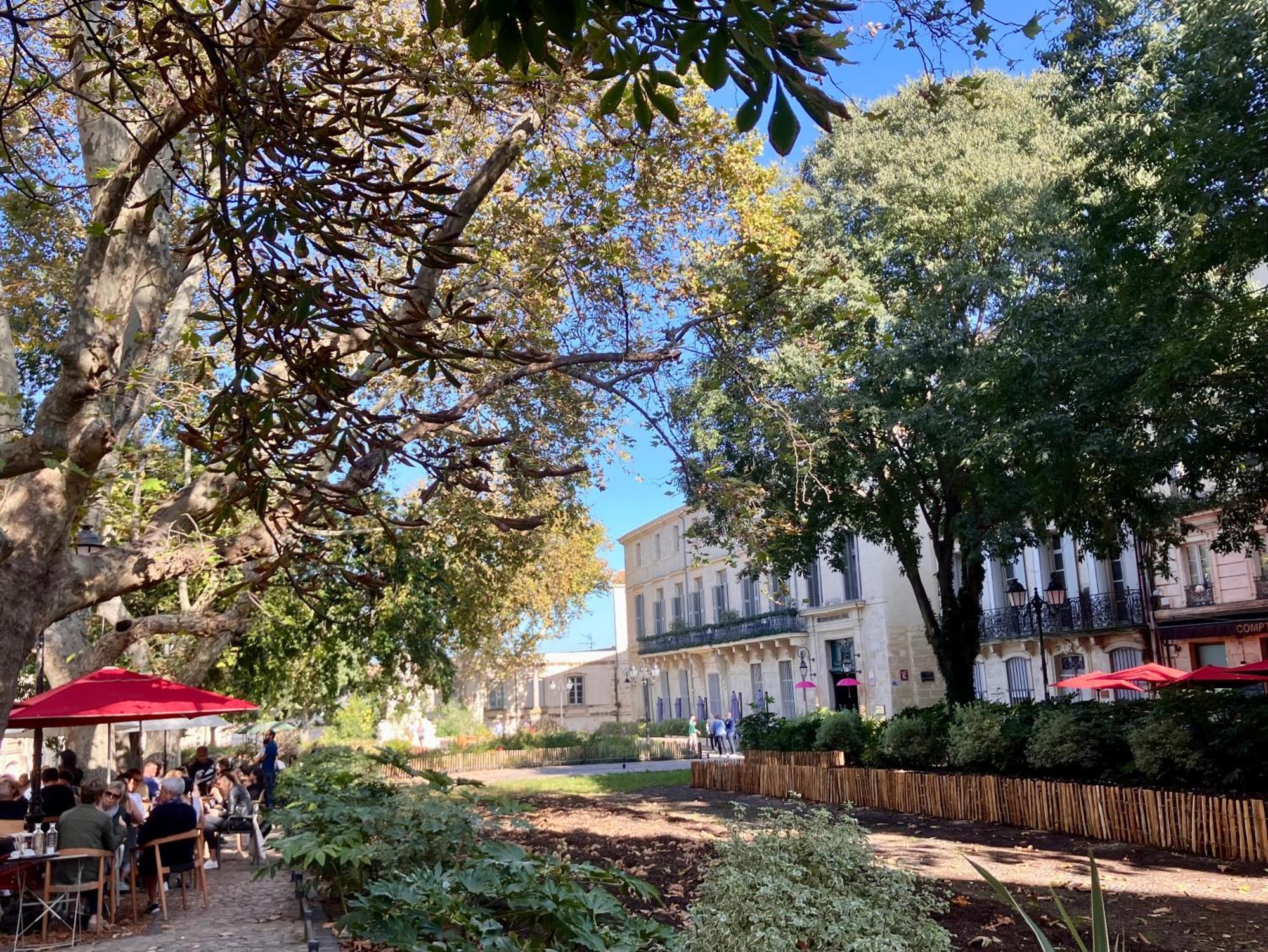 T2 Beaux Arts Parking Prive Gratuit Appartement Montpellier