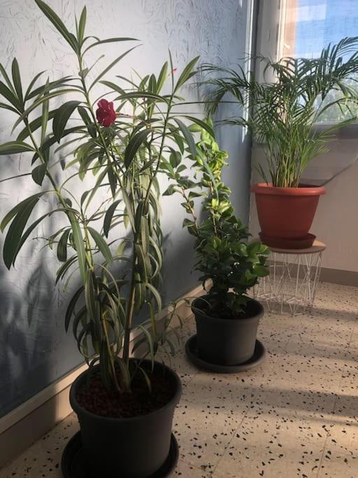 3 Pieces Avec Netflix Et Canal Apartamento