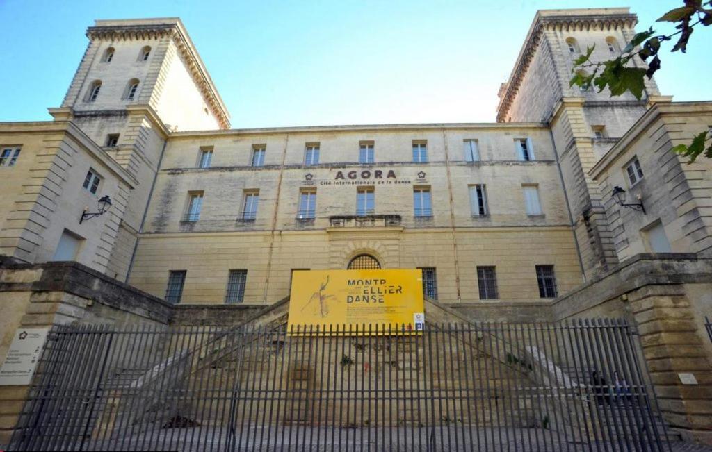 Joli Duplex Avec Terrasse Montpellier