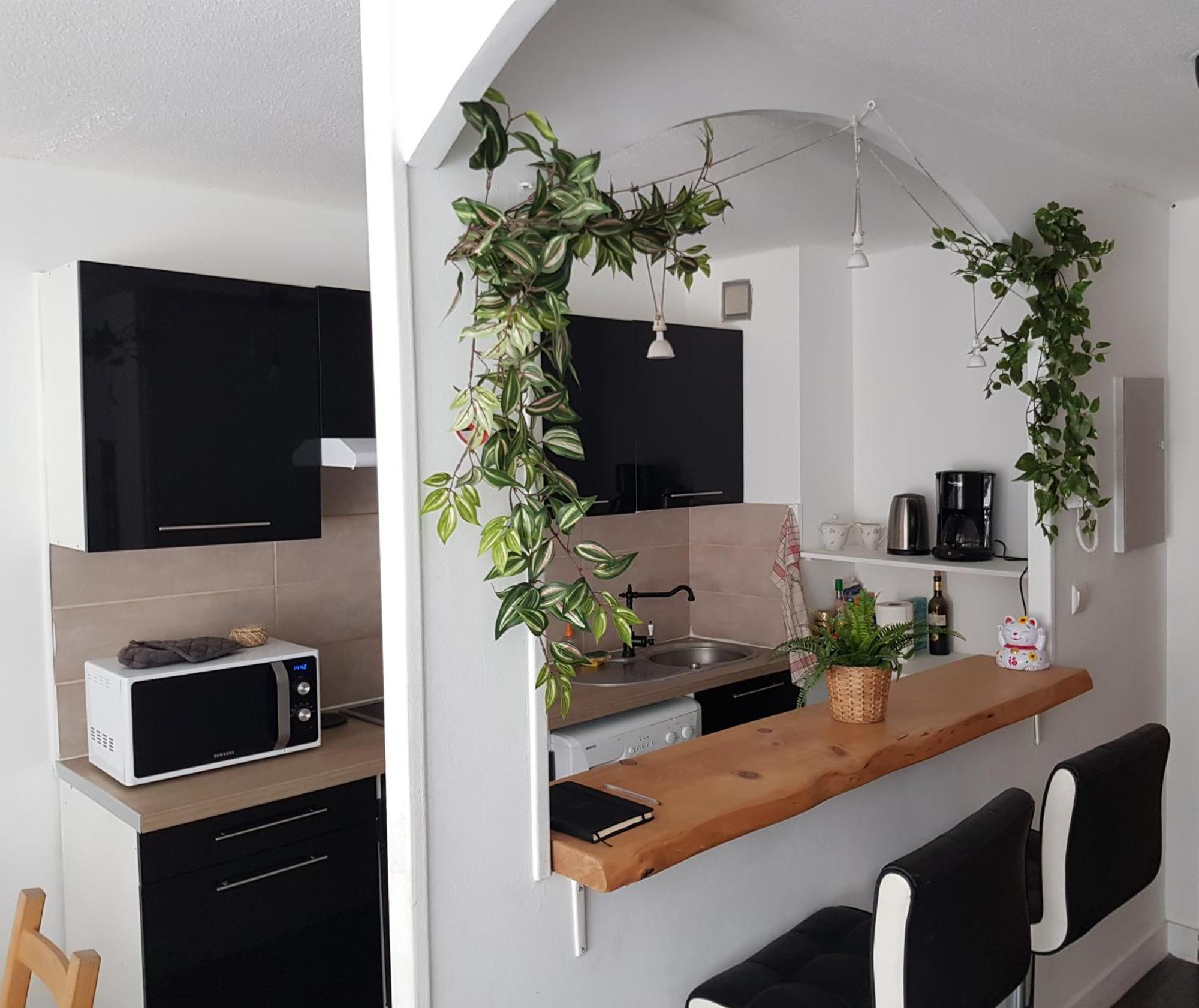 Apartment Le Petit Thai 2 Pieces Zen Centre *