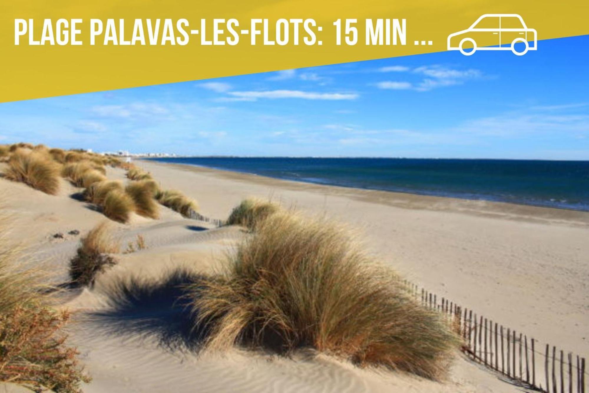 Amja Proche Clinique Saint-roch 3 3 Salles De Bain Parking Gratuit Ideal Famille Groupe Coworking 10 Min Centre 10 Min 5 Min Sortie Autoroute Apartment Montpellier