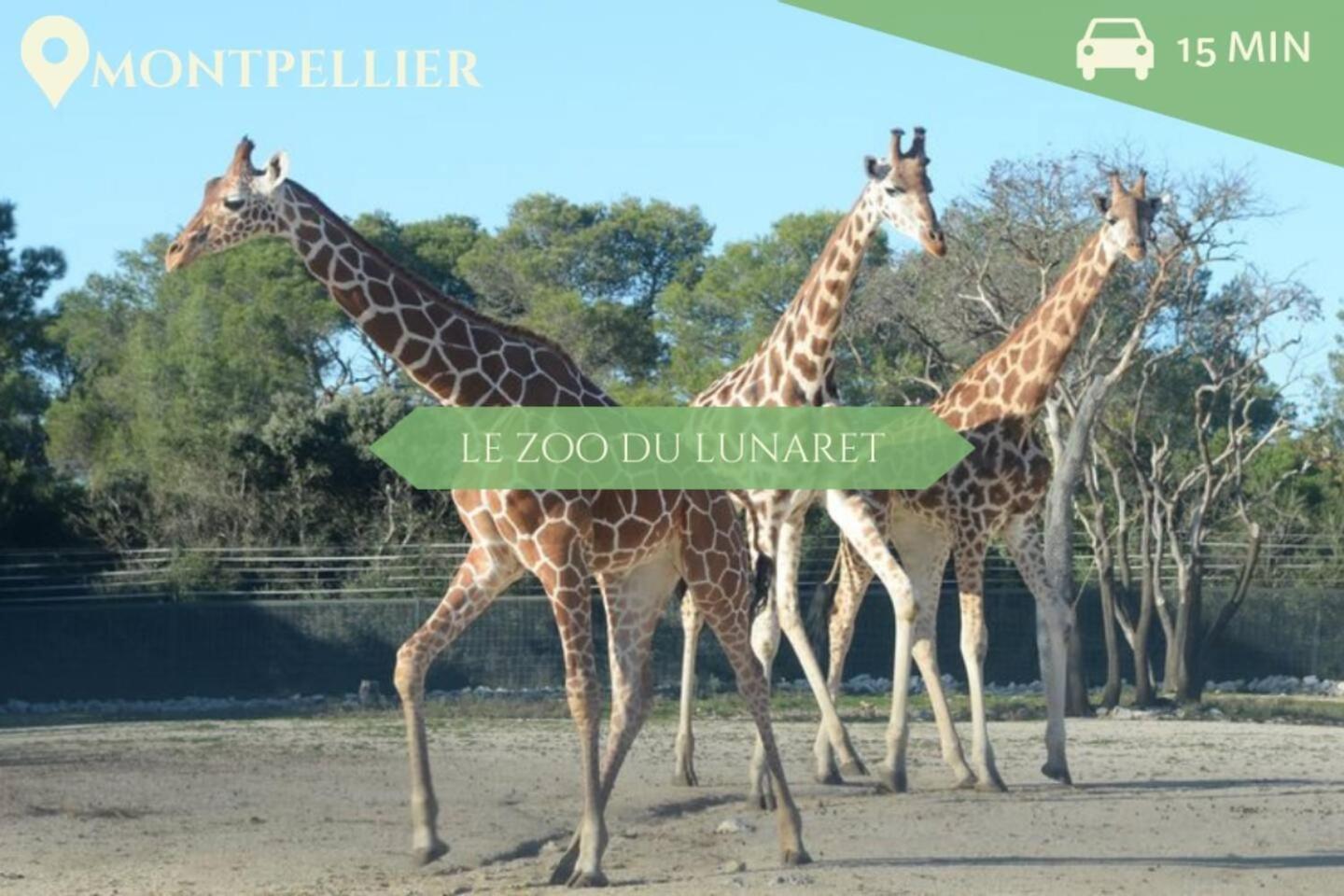 Manon, 2 Ch, Parking, Tram Croix D'argent Au Pied, Sleep-in-montpellier *