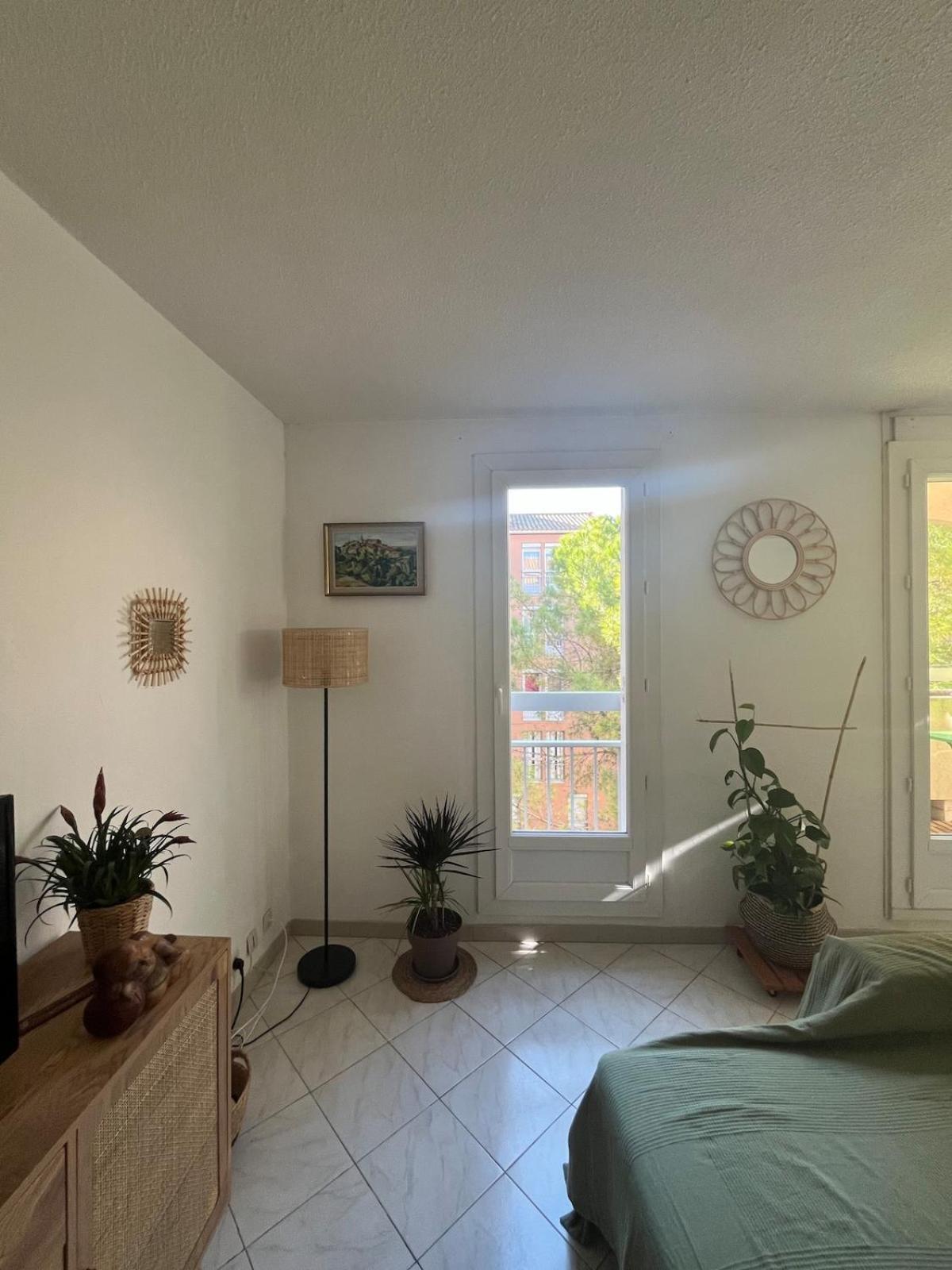 Appartement Appt Lumineux, Terrasse Parking Prive Montpellier