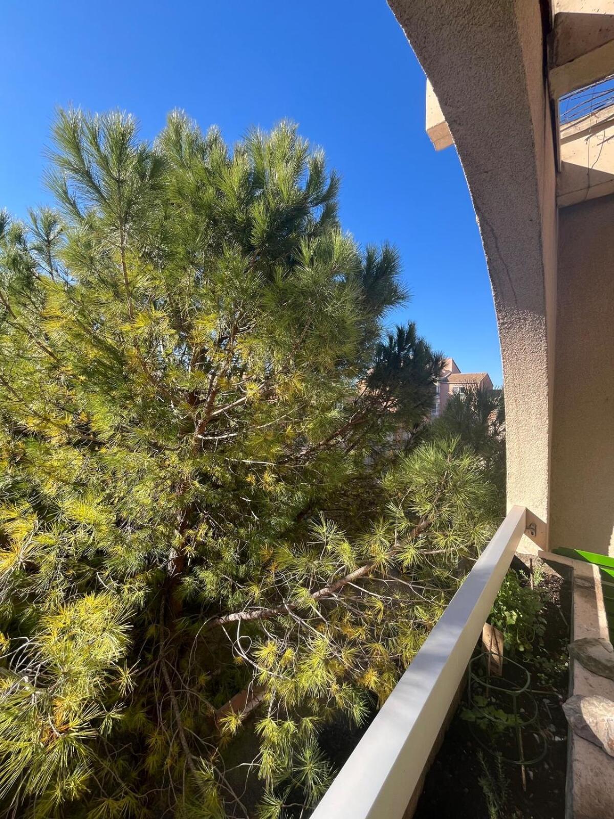 Appt Lumineux, Terrasse Parking Prive Appartement *