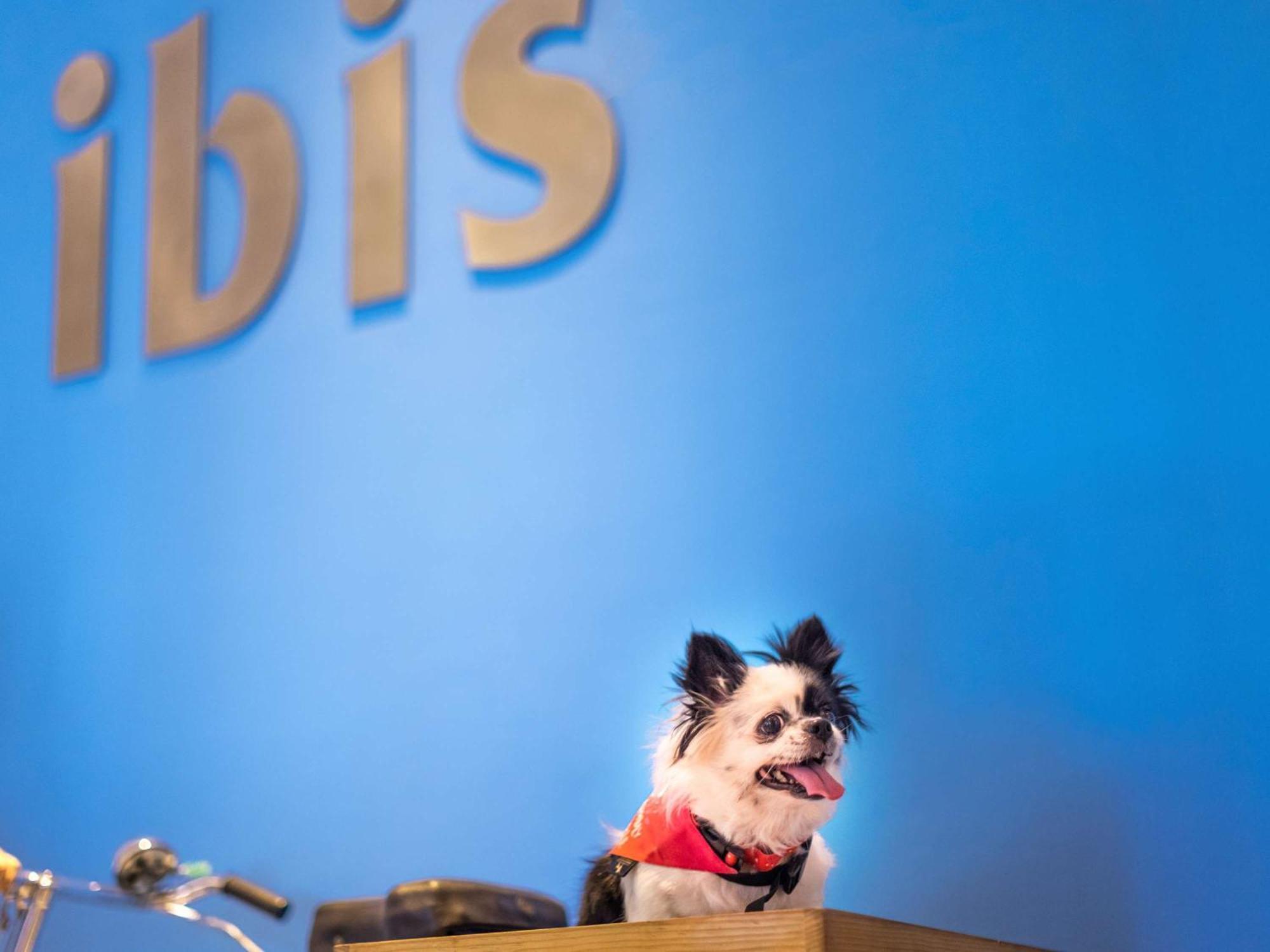 Ibis Centre Comedie