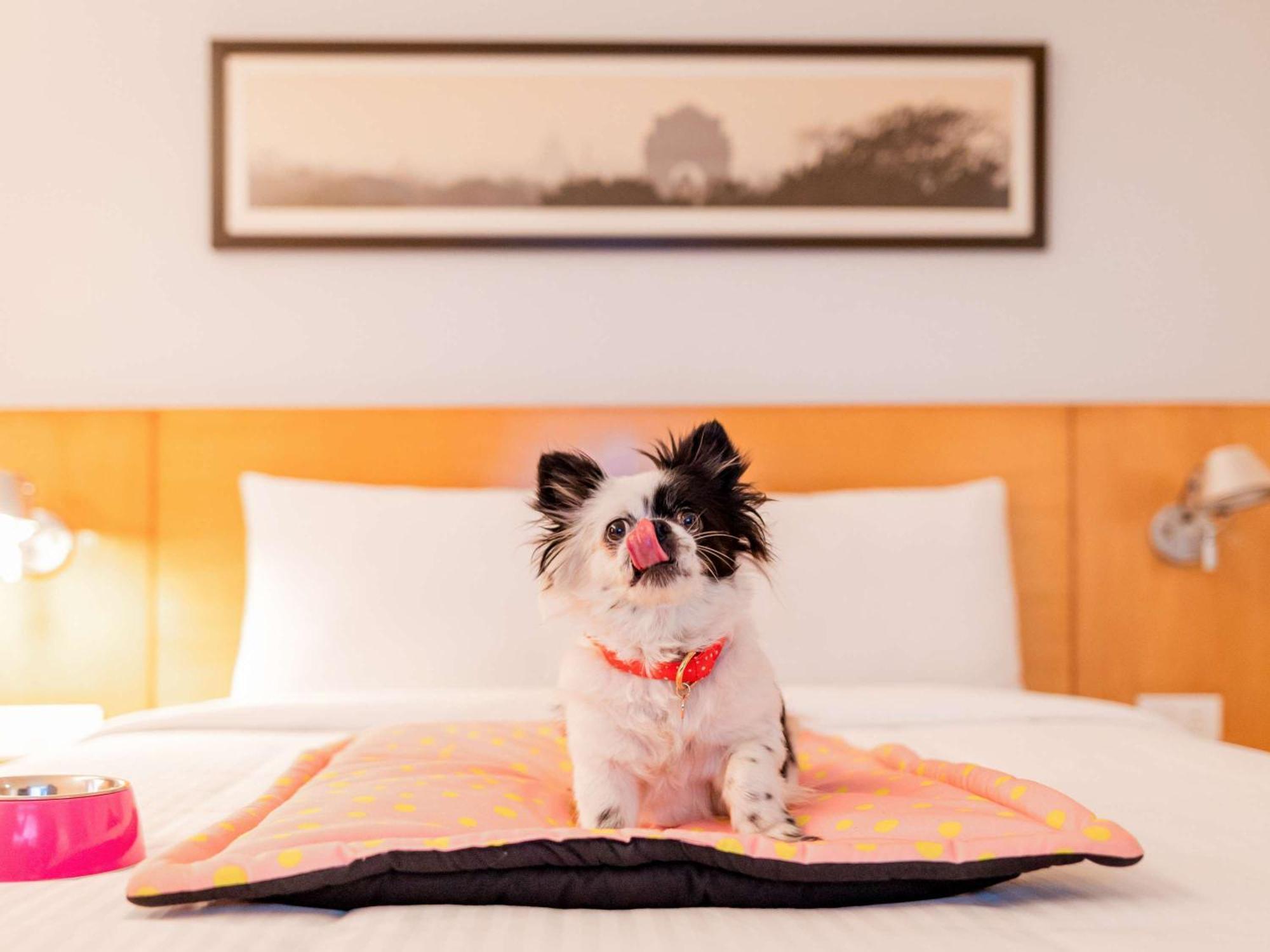 Ibis Centre Comedie Hotel