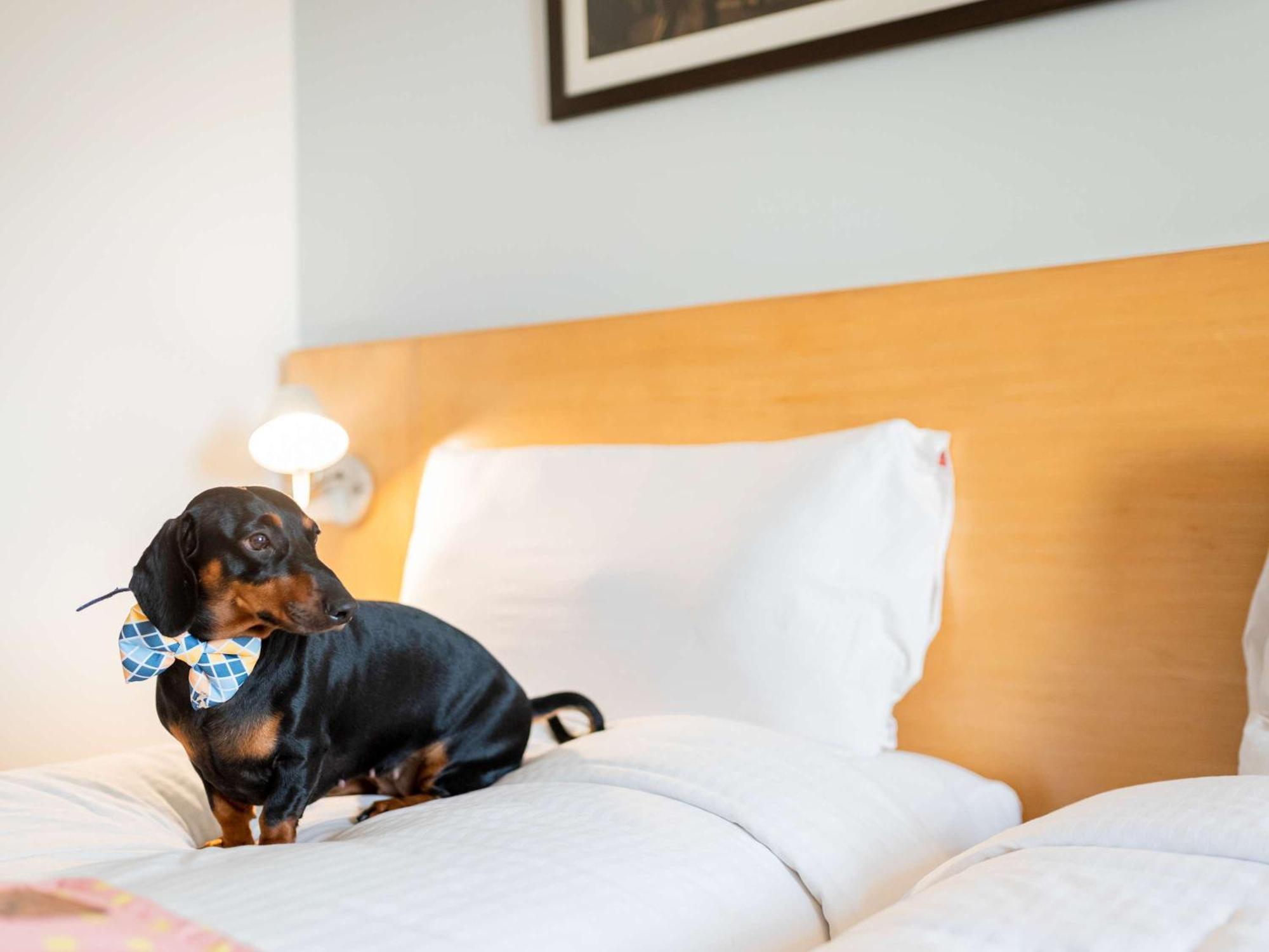 Ibis Centre Comedie 3*