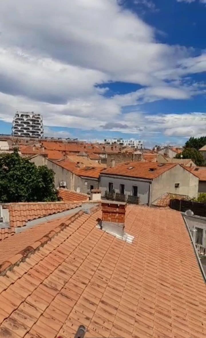 Appartement With Beautiful Terrace And Air Conditioning Montpellier