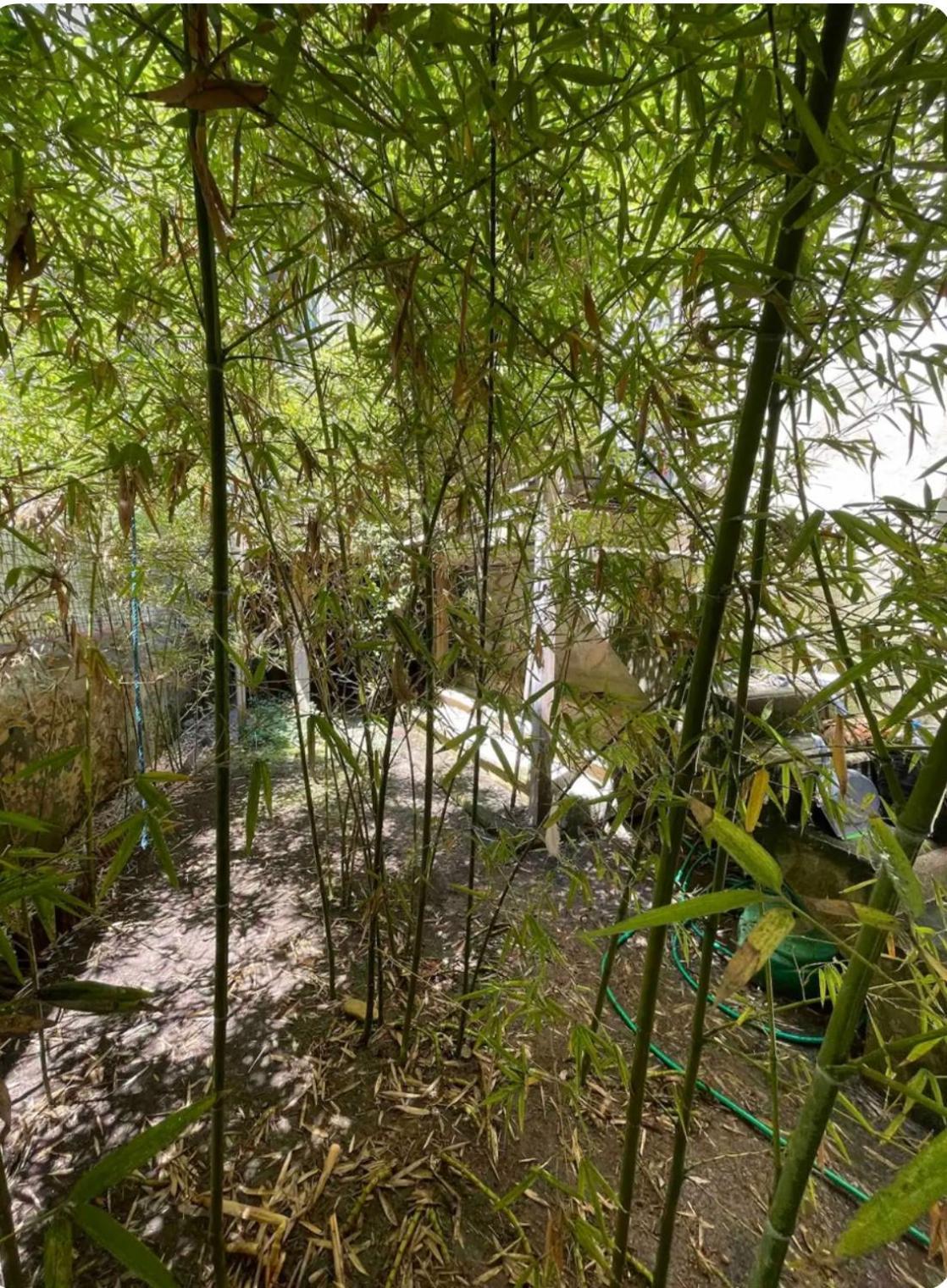 Apartment Un Jardin Place De La Comedie Montpellier