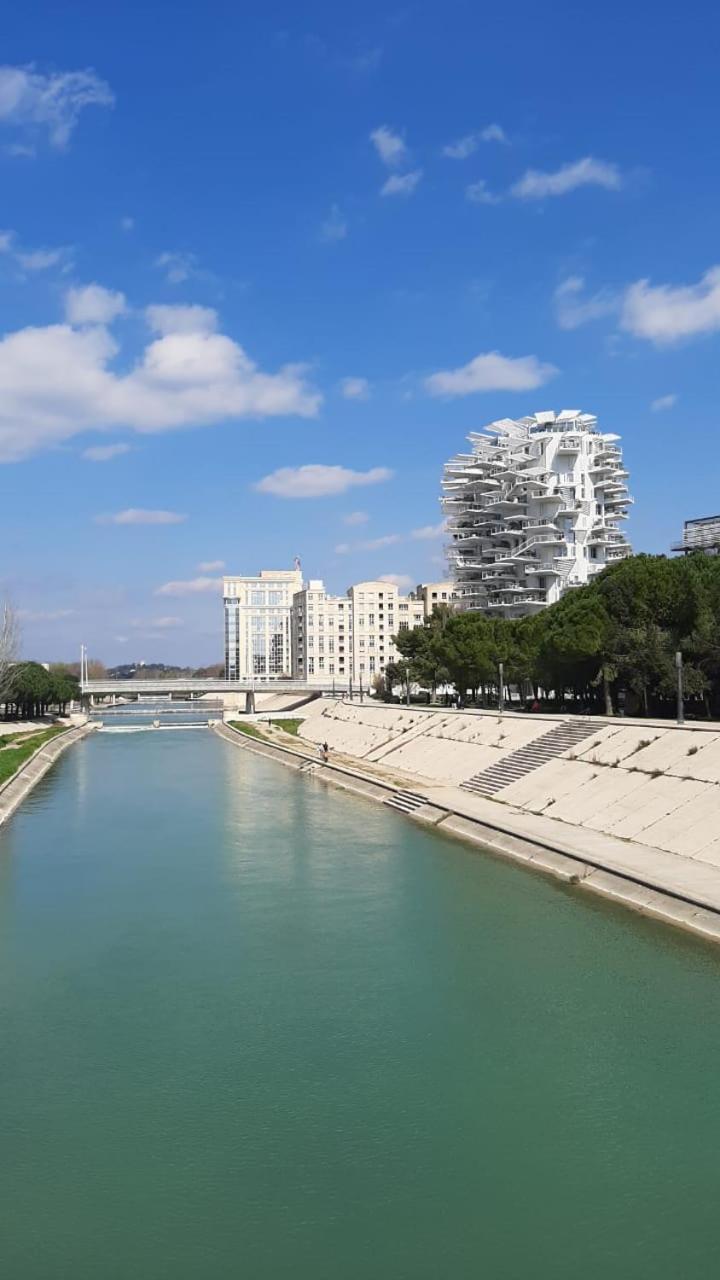 Superbe 35m2 Avec Parking Classe 3 Etoiles Par Organisme Certifie Appartement