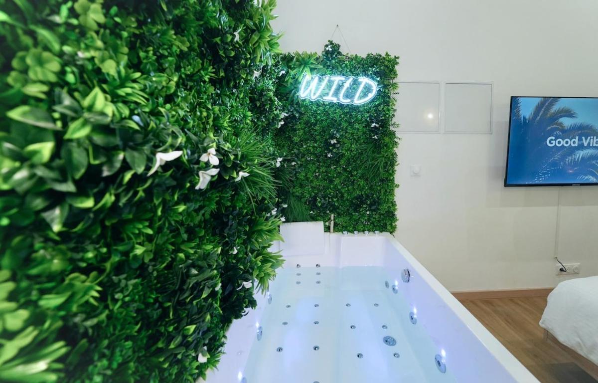 Apartment Wild & Cour Privee Au Coeur De Montpellier