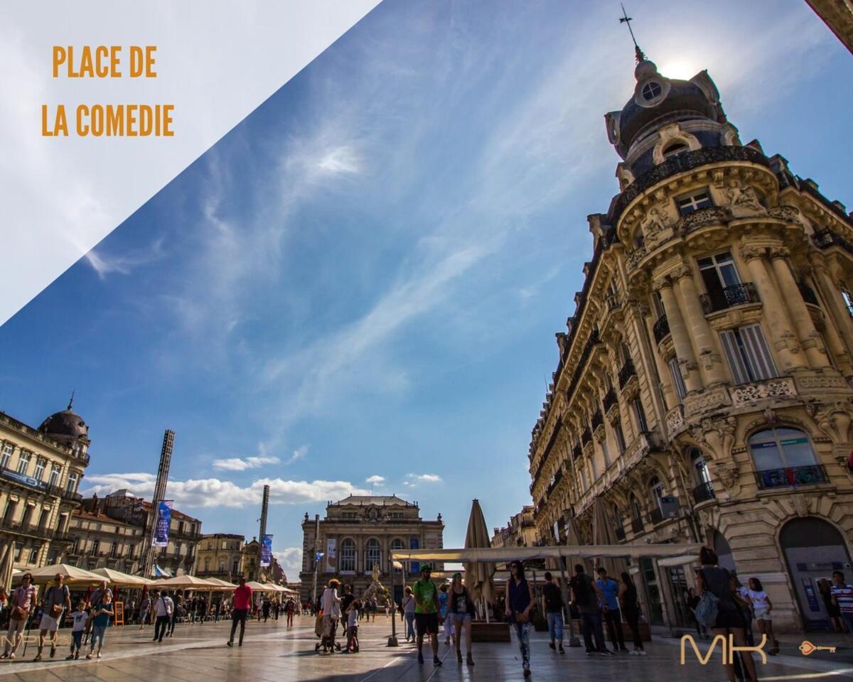 Loft - Climatisation, Parking, Equipe Appartement Montpellier
