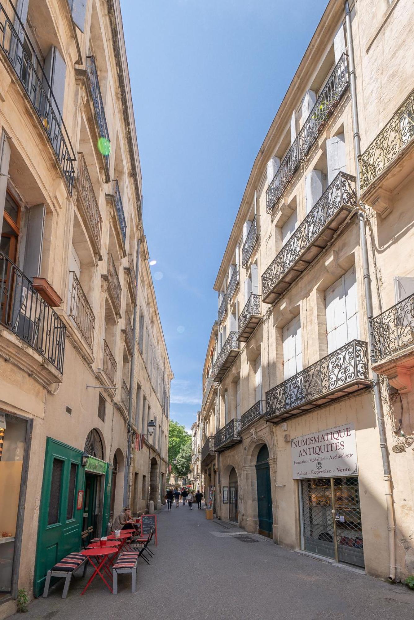 Le Palais Des Guilhem Appartement