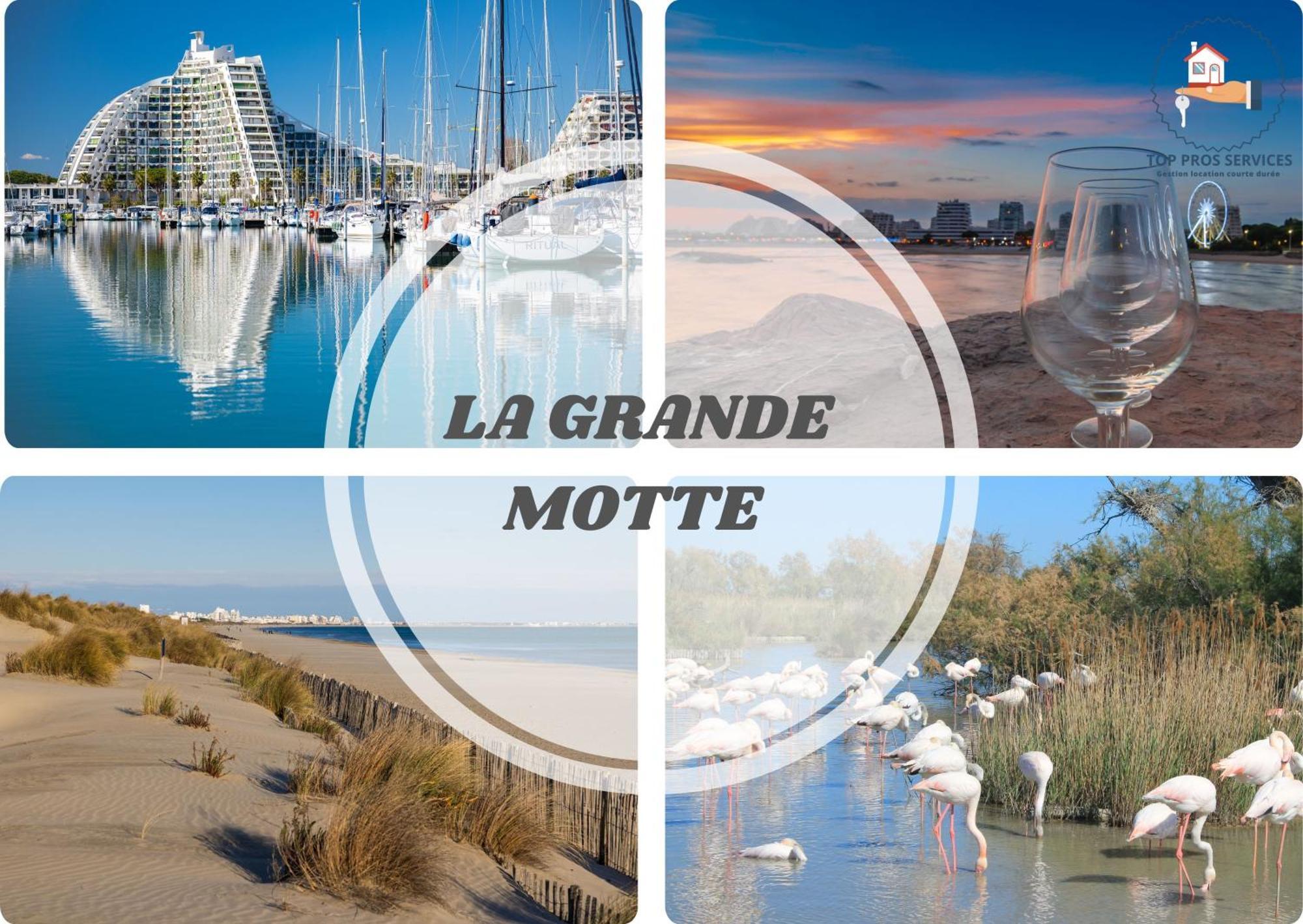 Le Cosy Wifi Clim Jardin Pros Servicesconciergerie Appartement Montpellier