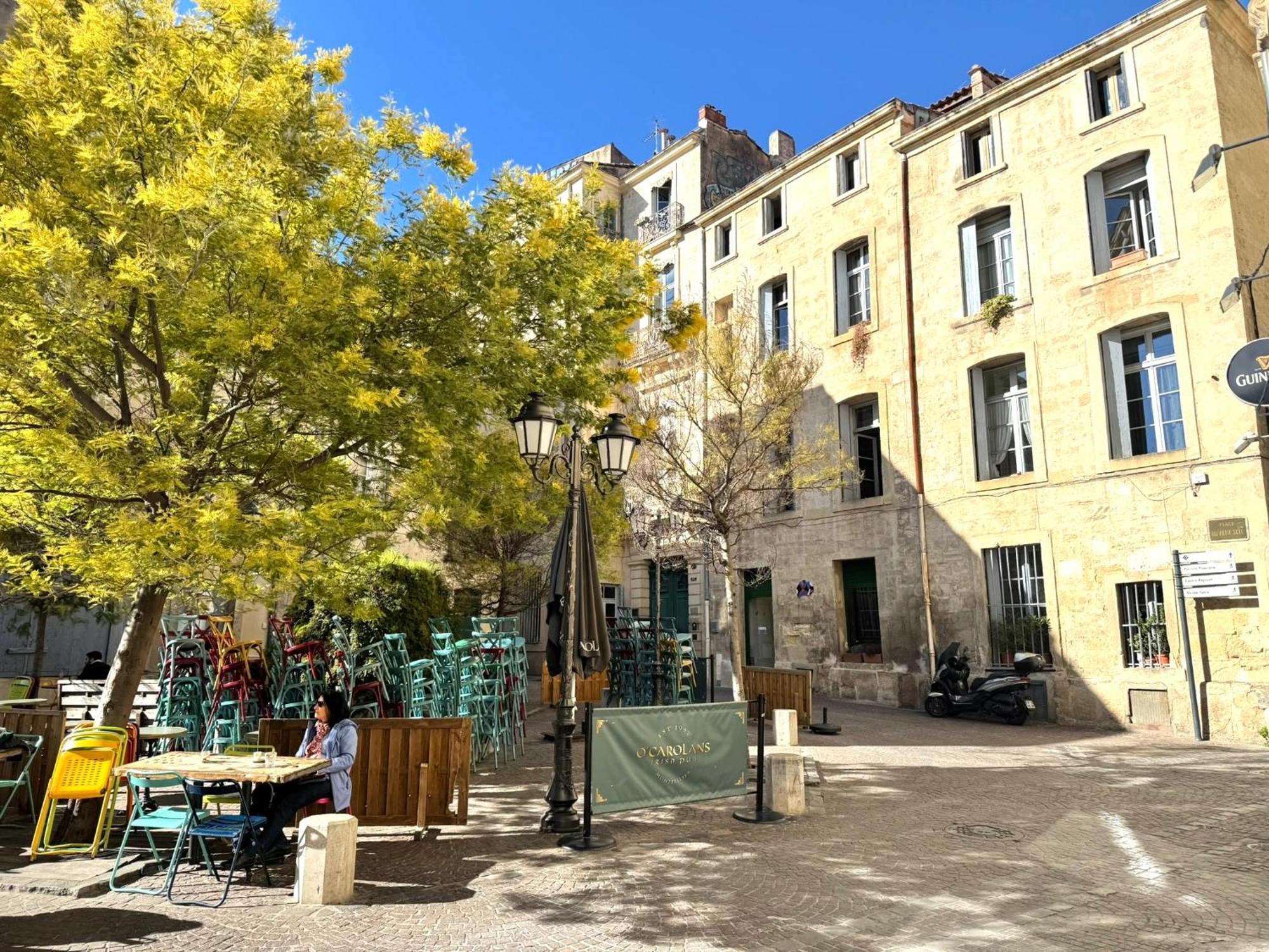 Apartment Atypique 6 Pers Centre De *