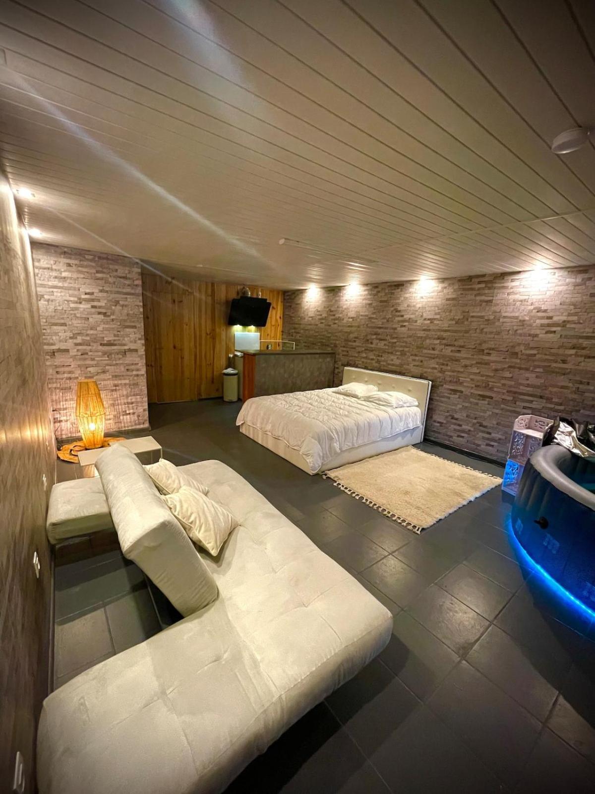 Appartement Le Loft