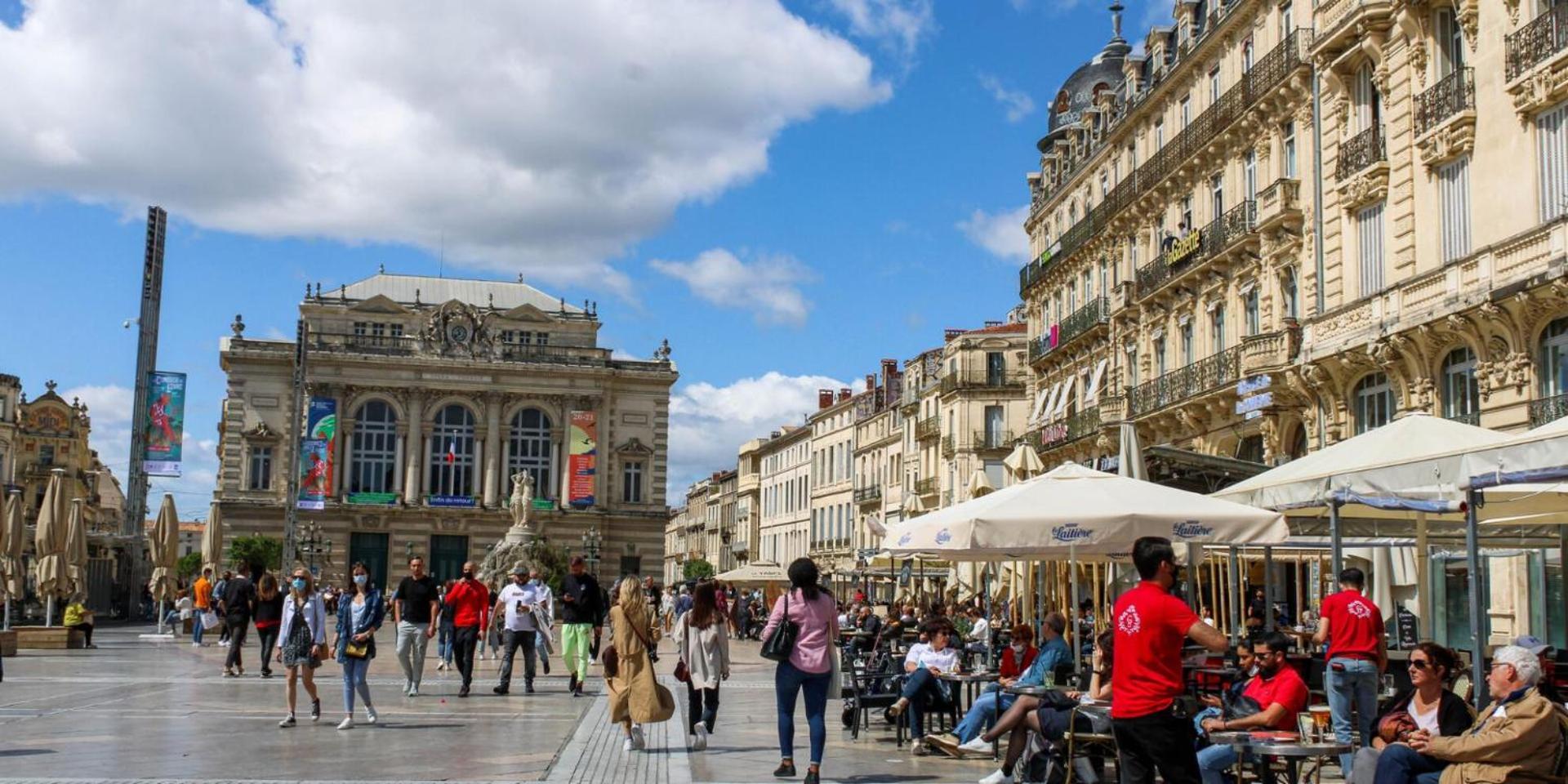 Le Mediterraneen Montpellier