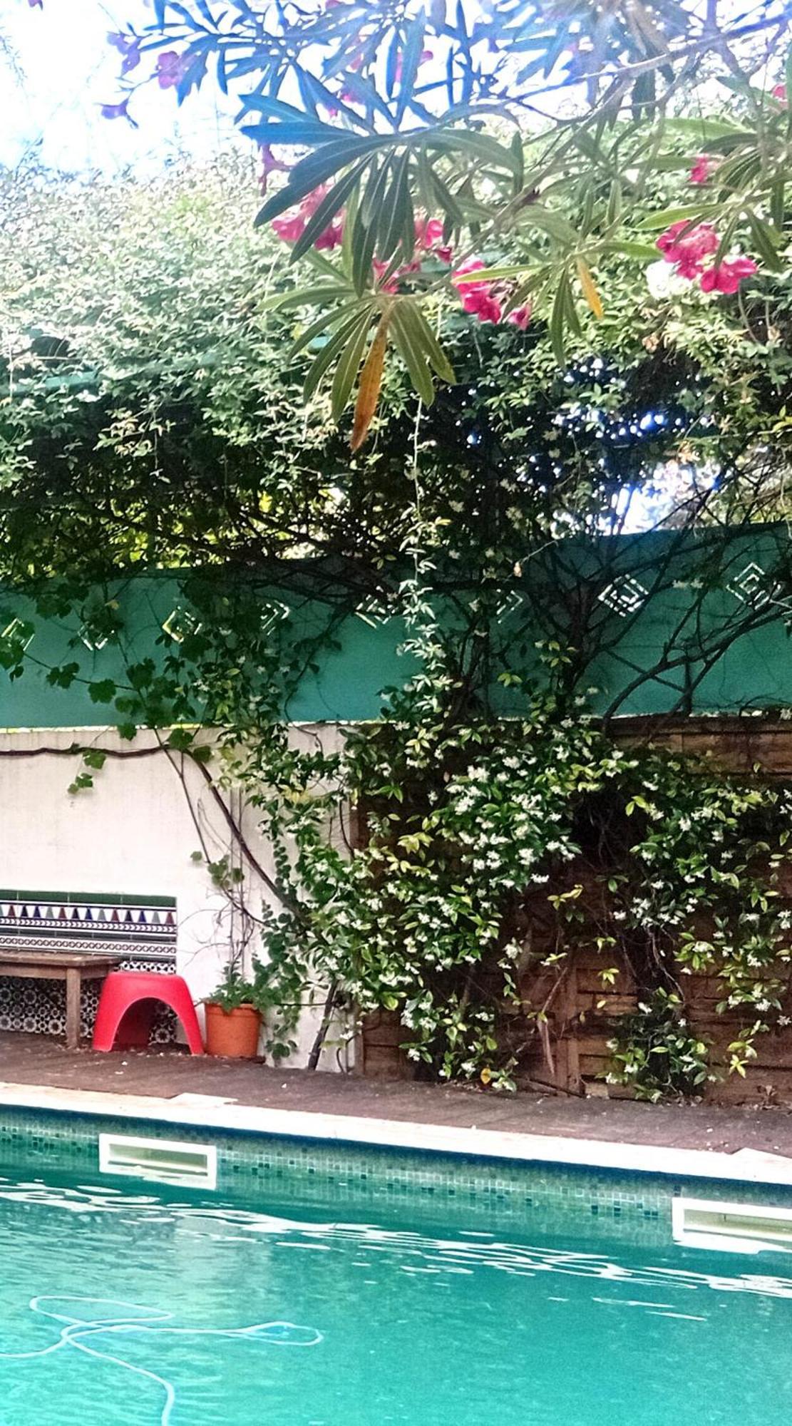 Apartamento Grande Cosy Avec Salle De Bain Et Wc Privatif