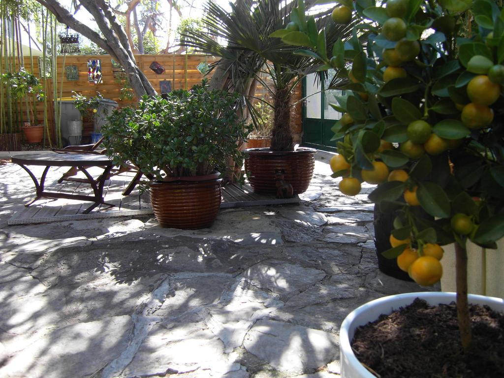 Apartment Cielito Lindo