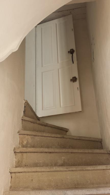 Petite Champetre En Ville * Montpellier