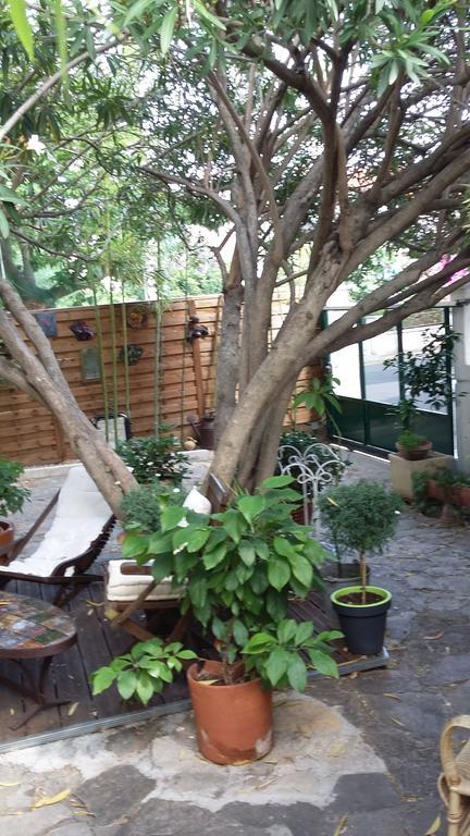 Cielito Lindo Montpellier