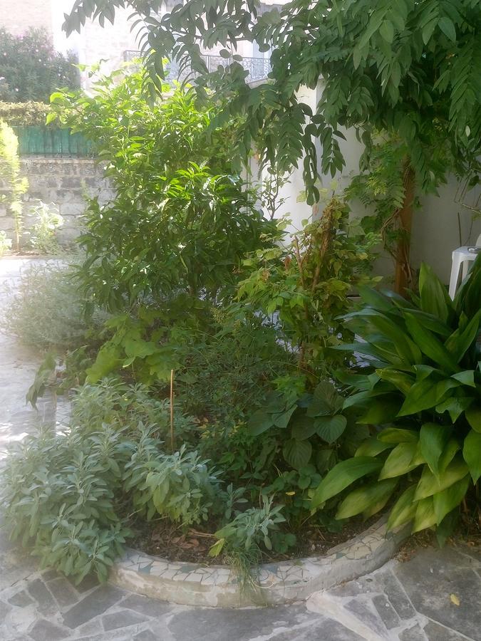Bed & Breakfast Le Clos Chez Michel Montpellier