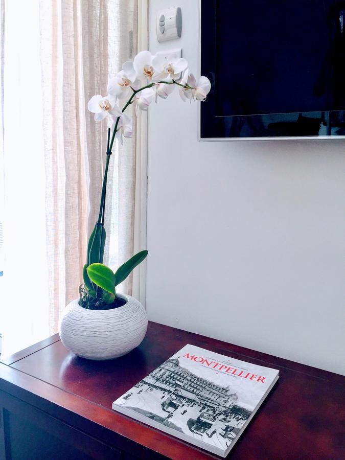 Chic - La Terrasse Bazille - Netflix Appartement Montpellier