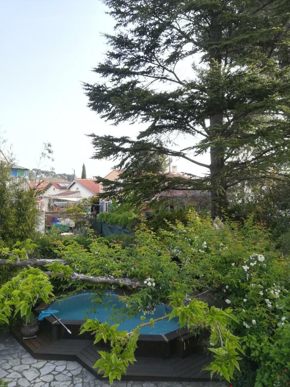Grand Avec Piscine Appartement *