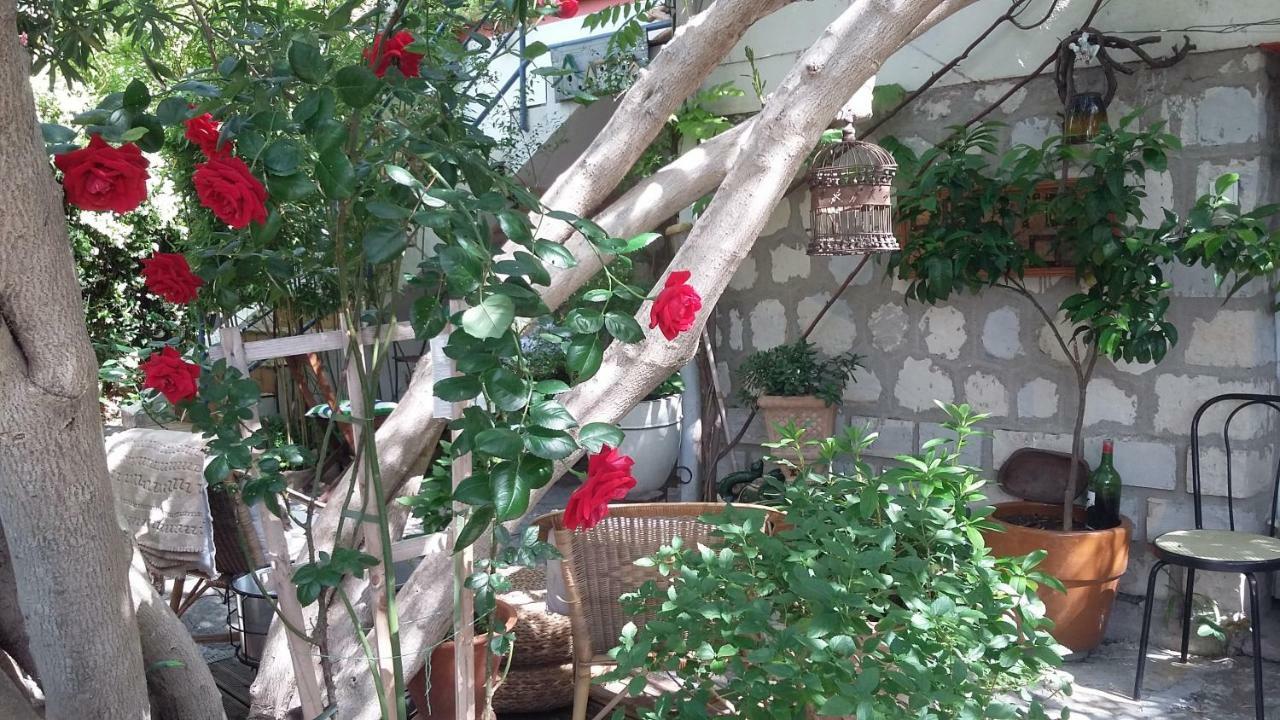 Apartment Cielito Lindo *