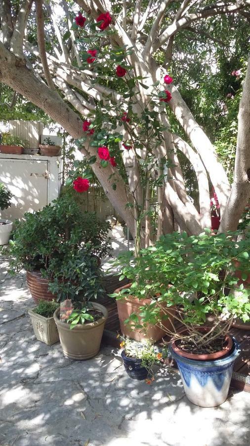 Apartment Cielito Lindo Montpellier