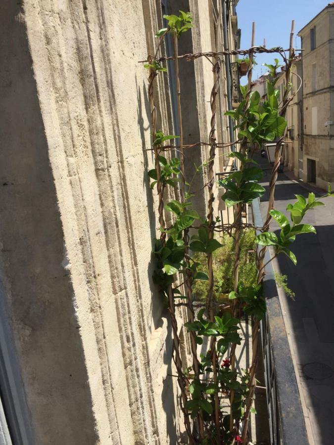 Chez Noelle Et Emmanuel Montpellier