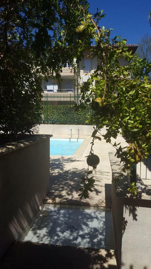 Grand Studio Avec Piscine Apartamento *