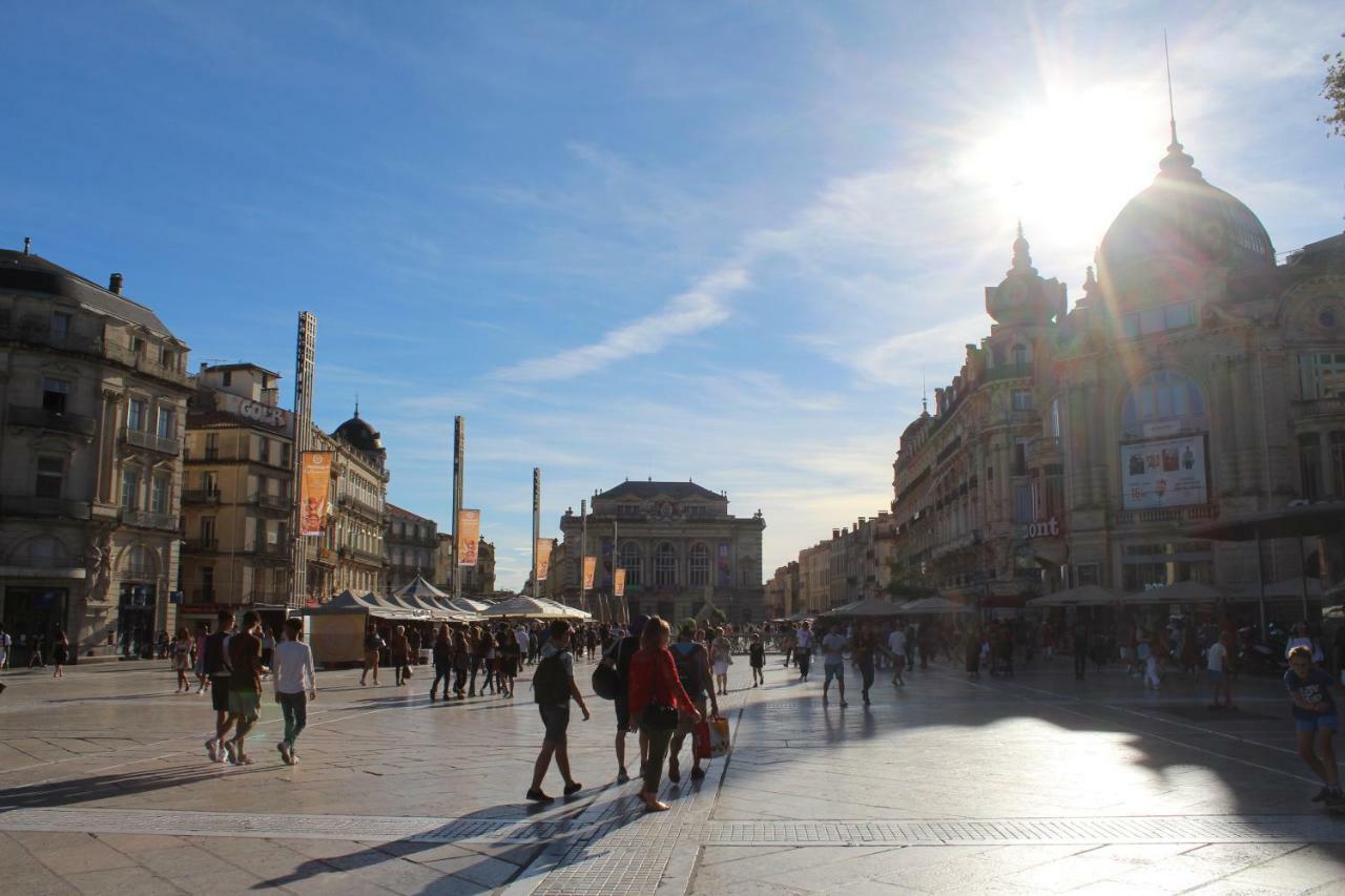 Le Mezza - En Plein Centre ! * Montpellier