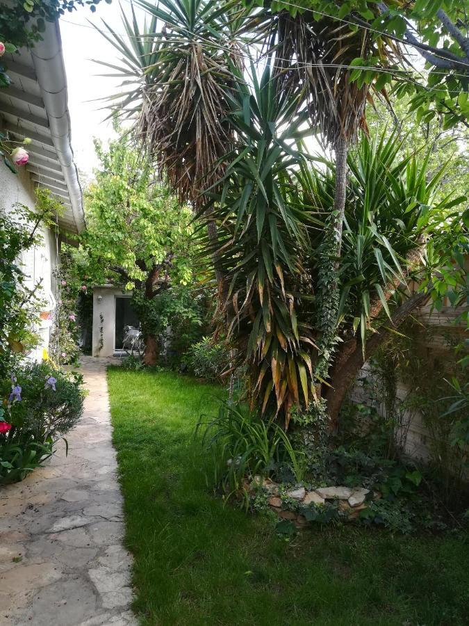 Grand Avec Piscine Appartement Montpellier